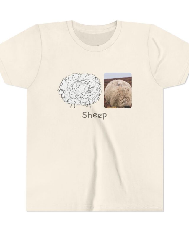 literally sheep balloon wool kids' t-shirt