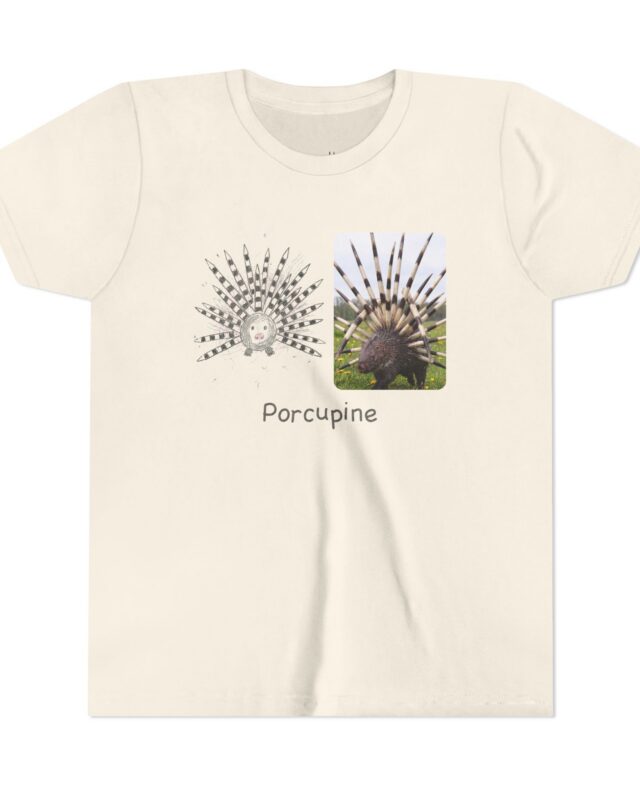 literally porcupine tree quills kids' t-shirt