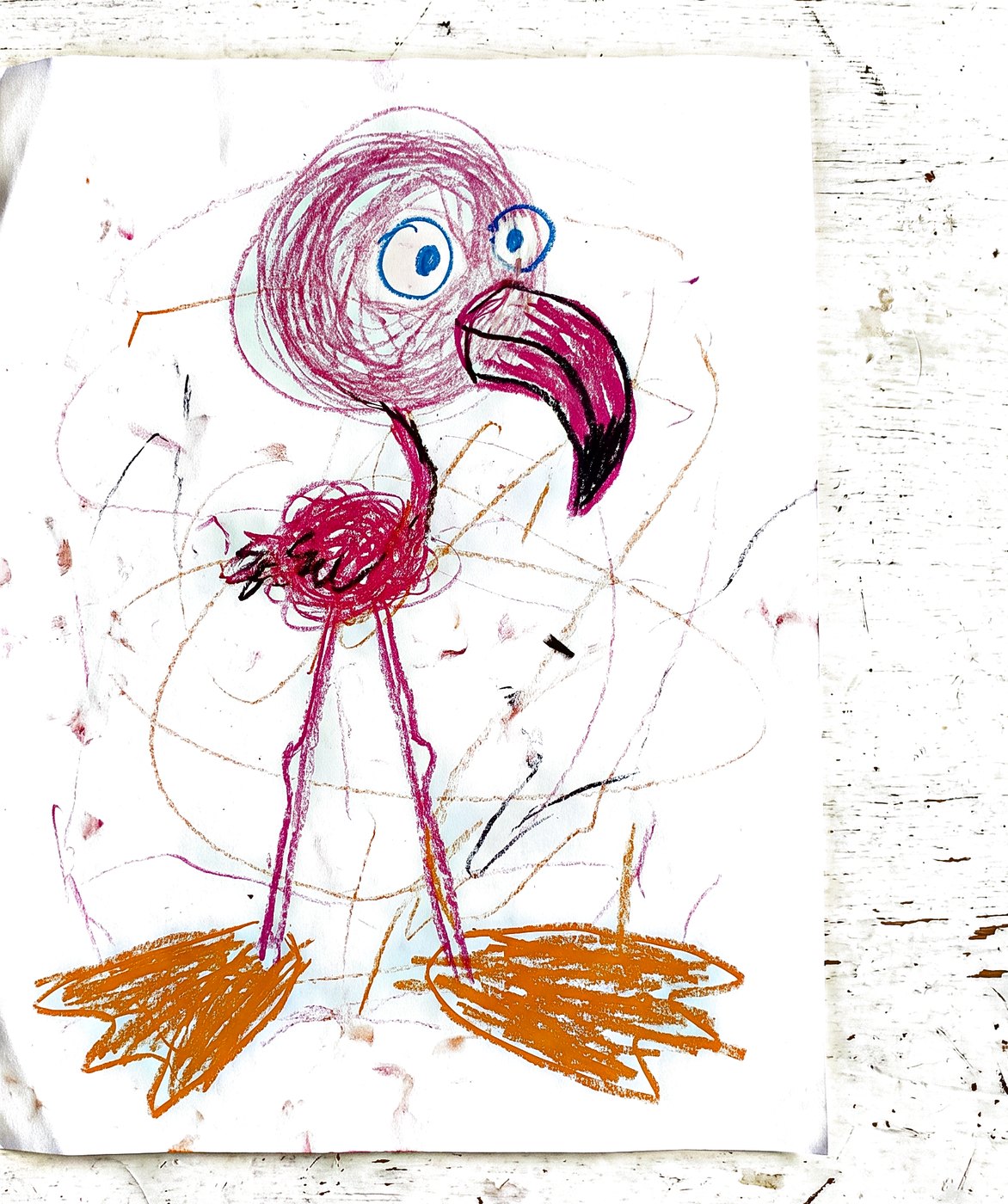 The crayon drawing of the Flamingo