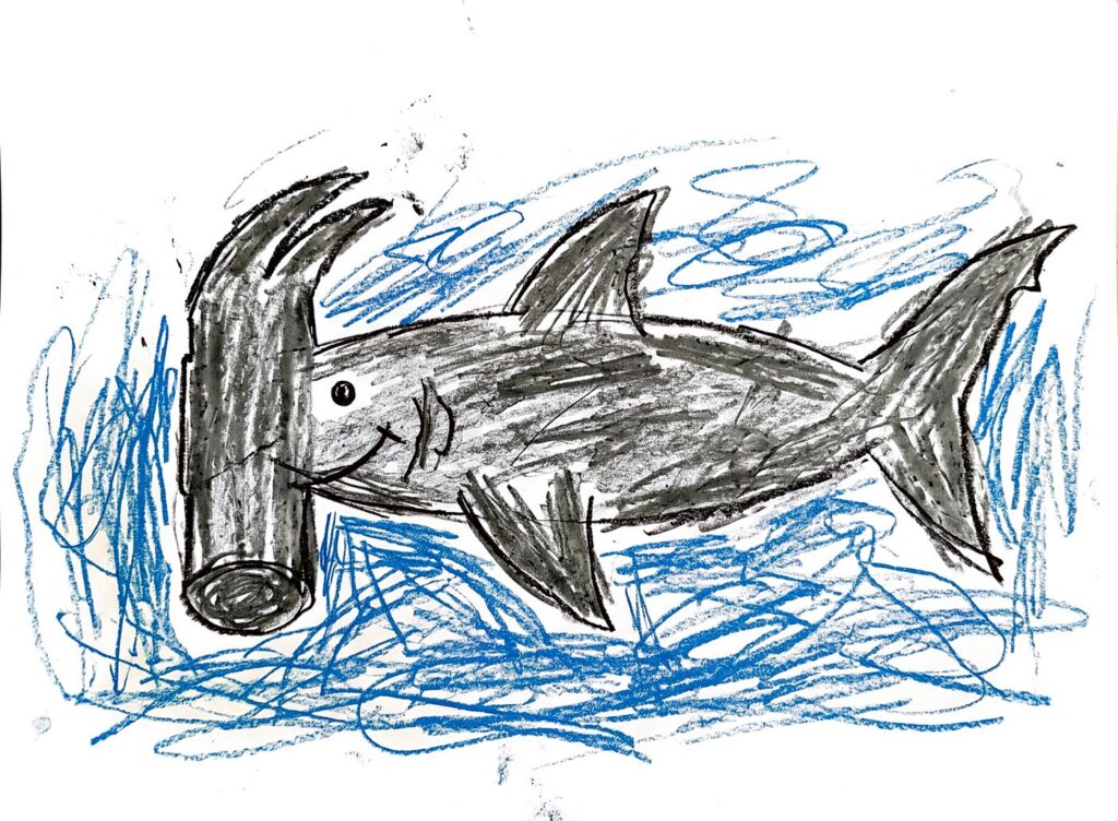 The crayon drawing of the Hammerhead