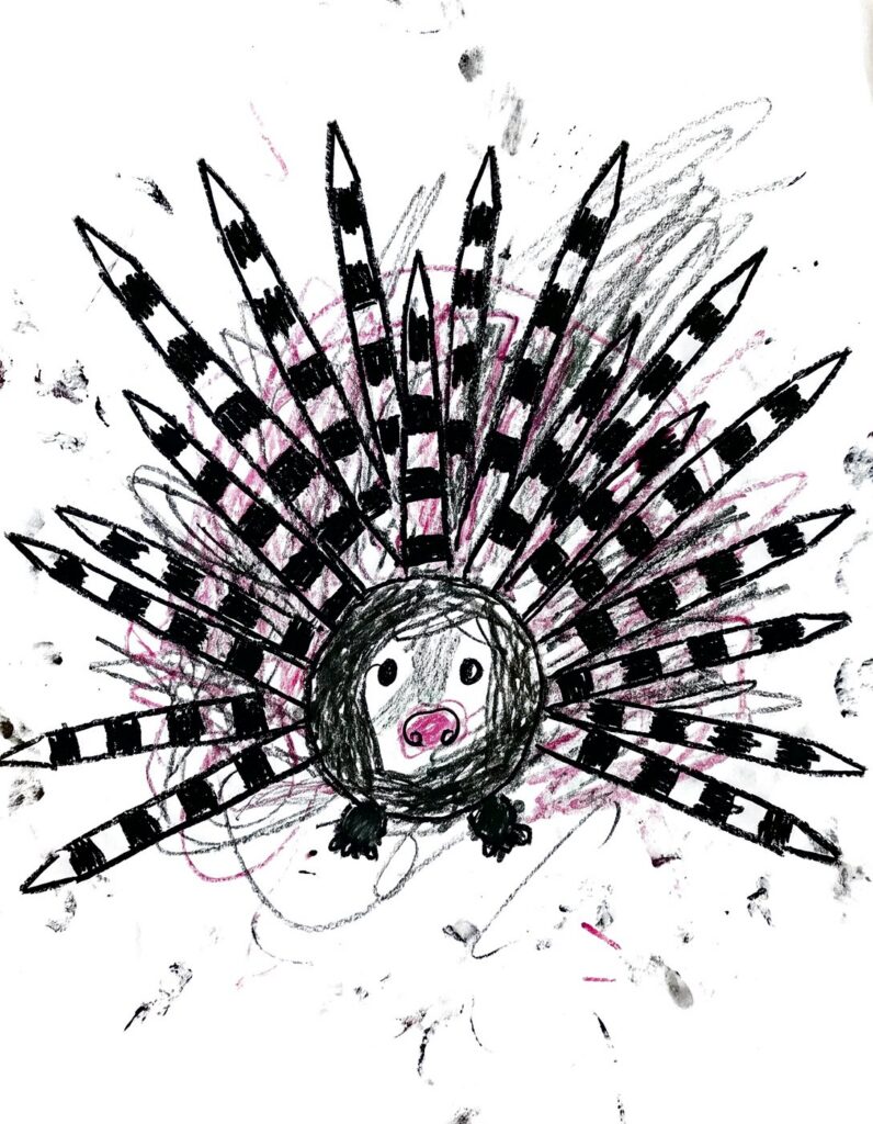 The crayon drawing of the Porcupine